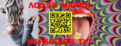 гашик Кимры