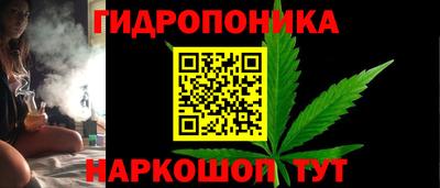 гашиш Кингисепп