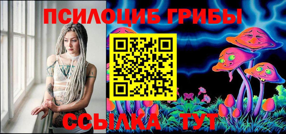 Псилоцибиновые грибы Psilocybe  Вход с VPN  Красноармейск  Псилоцибиновые грибы Magic Shrooms 